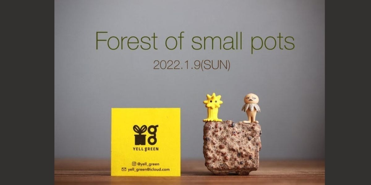 2022年01月09日 　Forest of small pots